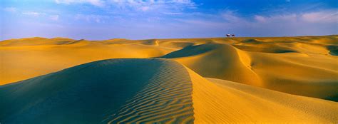 Sand Dunes The Thar Desert Rajasthan Photograph By Panoramic Images
