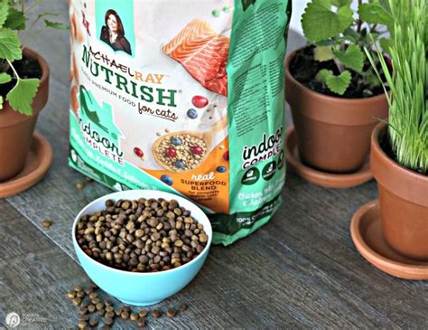 We're here with our expert darcie from the aspca spay/neuter alliance talking about gentle head control. Herb Garden for Cats | Today's Creative Life