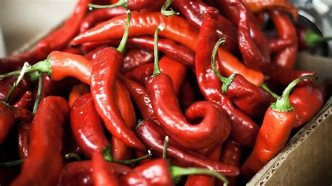 Red Hot Peppers With Box Food Chilli Peppers Hd Wallpaper Wallpaper