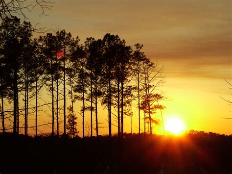 Sunset With Pine Trees Blake Imeson Flickr
