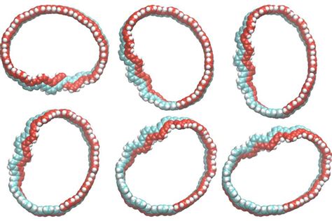 Tiny Möbius Strip Fashioned From Carbon Nanotube Building Blocks New Scientist
