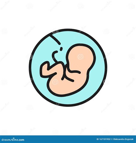 Baby In The Womb Embryo Human Fetus Flat Color Line Icon Stock