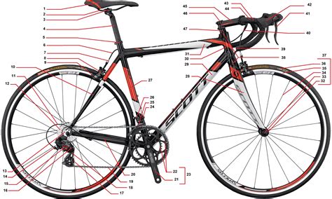 Quel est le nom des différentes pièces de mon vélo? - Chantilly