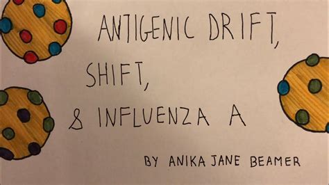 Antigenic shift vs antigenic drift. Antigenic Drift, Shift, and Influenza A - YouTube