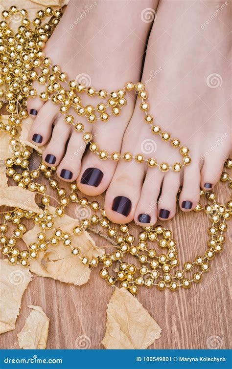 Female Feet With Dark Purple Pedicure Stock Image Image Of Cosmetics