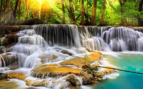 Thailand Forest Trees Waterfalls Stream Wallpaper Nature And