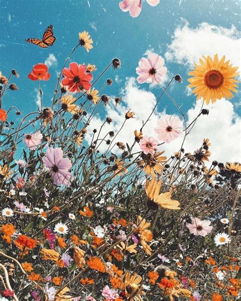 Spring Inspo 🌼 📸 Flower Aesthetic Aesthetic Wallpapers Flowers