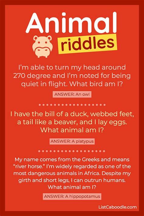 Animal Riddles And Answers