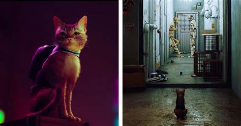 Mystery-Solving Cat With A Mini Backpack Is Starring In This New