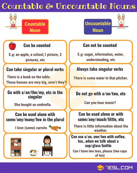 Countable And Uncountable Nouns Useful Rules And Examples • 7esl