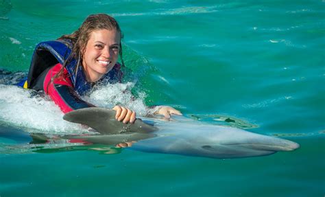 Atlantis Dolphin Swim With Aquaventure And Lunch