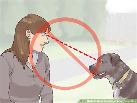 Call the emergency services, or your local emergency number, if you or someone else is in danger. 3 Ways to Gain Trust in an Aggressive Dog - wikiHow