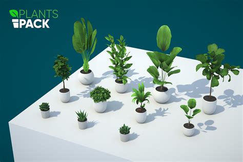 Plants Pack 3d Vegetation Unity Asset Store
