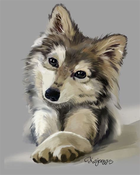 Pin By Mar Téllez On Animalitos Cute Wolf Drawings Cute Animal