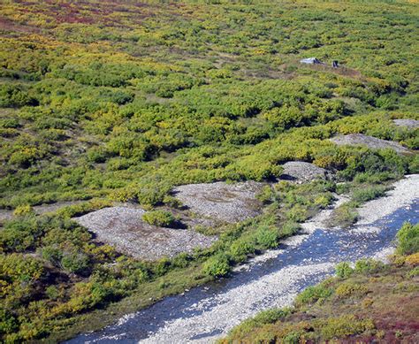 Humbolt Creek Mining Camp Bering Land Bridge National Preserve Us
