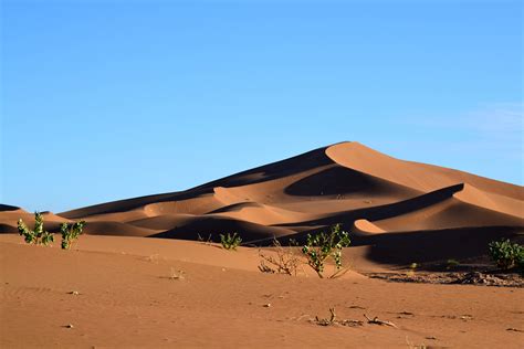 Free Images Landscape Sand Desert Dune Grassland Plateau