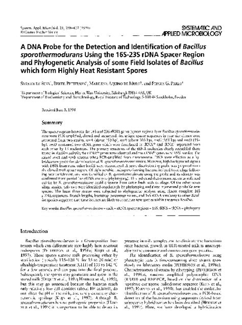 Pdf A Dna Probe For The Detection And Identification Of Bacillus