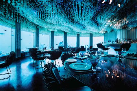 The Best Underwater Restaurants In Maldives — Out Of Office