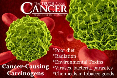 How Do Carcinogens Cause Cancer Carcinogenic Foods