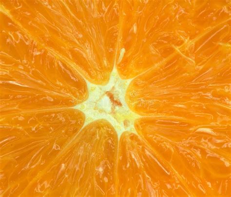 Macro Of An Orange Stock Image Image Of Natural Freshness 19186295