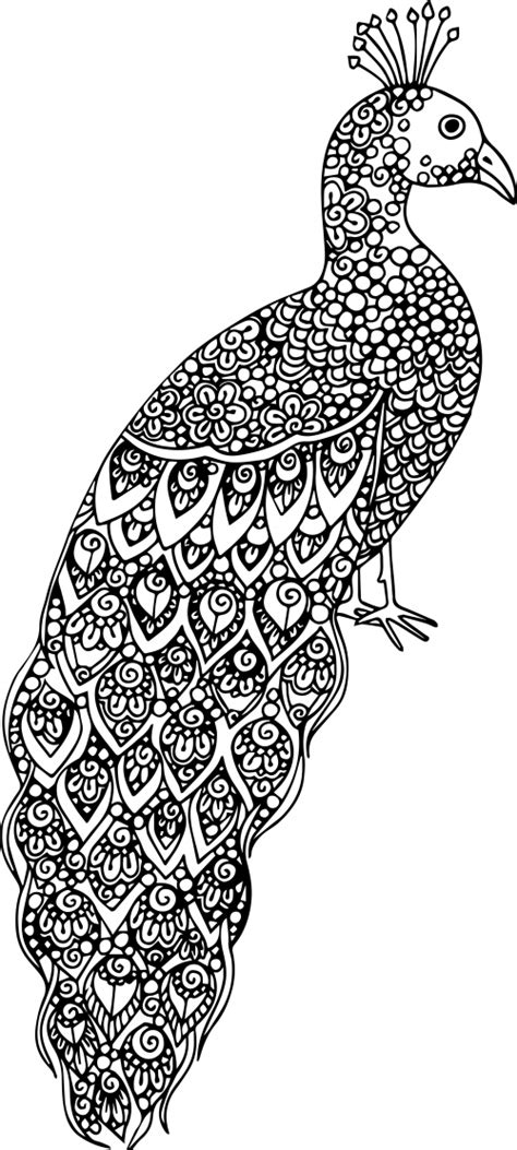 Advanced Animal Coloring Page 19