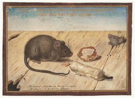 Dr Peter Paul Rubens On Twitter Two Mice And A Candle In 1594 How