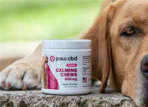Cbd Pet Calming Soft Chews Get 100 Best Quality Cbd Products