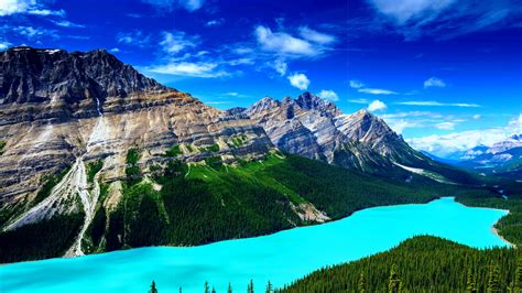 Welcome To A Magical Turquoise Blue Water Lake “peyto Lake”