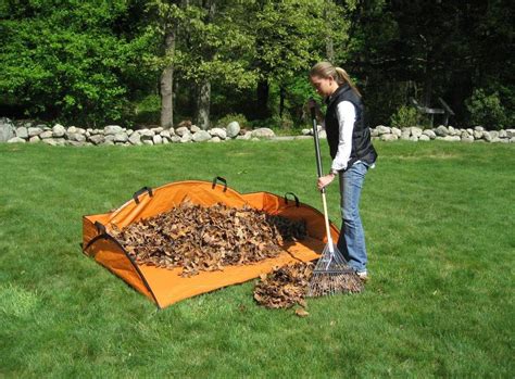 The Best Tools To Pick Up Fall Leaves This Old House