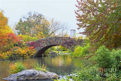 Central Park Gapstow Bridge Autumn Ii Photograph By Regina Geoghan