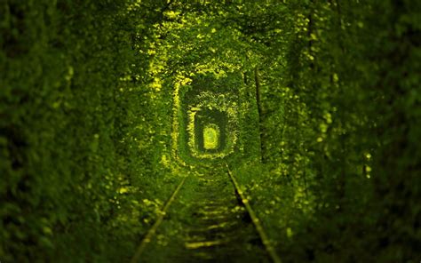 Plants Trees Nature Railway Green Forest Path Tunnel Hd