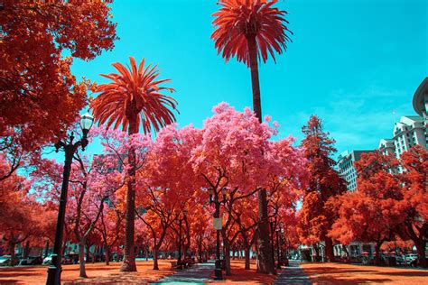 Beginners Guide To Infrared Photography In 2023