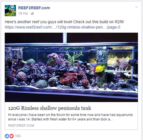 Build Thread 120g Rimless Shallow Peninsula Tank Page 6 Reef2reef