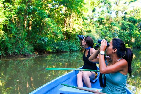 Exploring Tortuguero Costa Ricas Remote Wildlife Hotspot Lonely Planet
