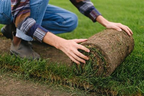 New Sod Care Guide 4 Tips On Properly Caring For New Sod