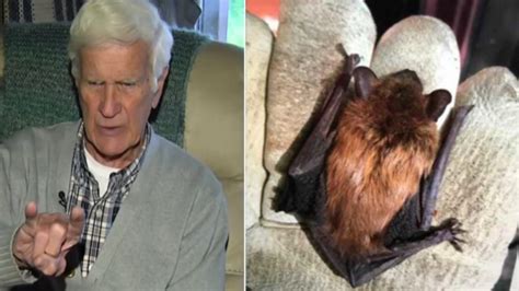 Elderly Man Bitten By Rabies Infested Bat Hiding Inside His Ipad Case