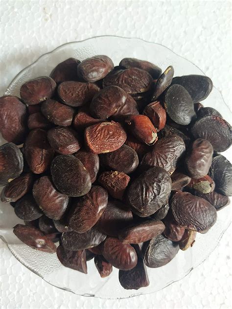 Buy Ambe Ayurveda Karanj Seeds Karanji Beej Karanja Pongamia