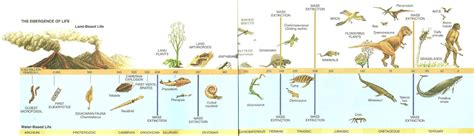 The First Life Evolved More Than Billion Years Ago Scientists