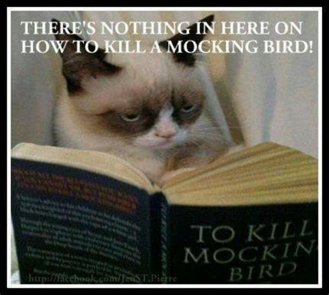 Below you will find our collection of inspirational, wise, and humorous old reading quotes, reading sayings, and reading proverbs, collected over the years from a variety of sources. Reading With Cats Funny Quotes. QuotesGram