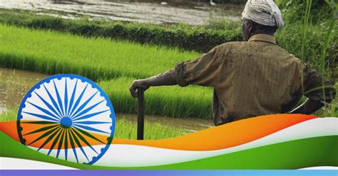 Indian Agriculture What Are The Realities Behind The Questions