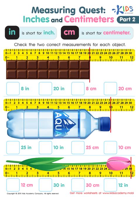 Measuring Inches And Centimeters Worksheets