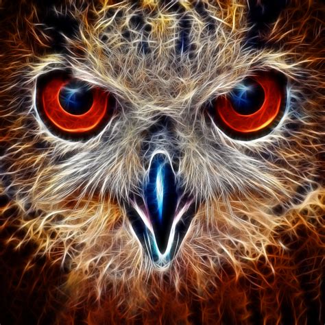 Fractalius Owl By Midrevv On Deviantart