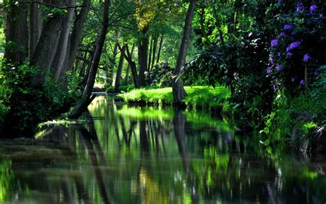 River Garden Hd Nature K Wallpapers Images Backgrounds Photos And