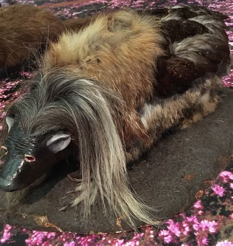 Pet Haggis Scotland - Scottish Wild Hairy Soft Toy Squeaky Haggis Ears