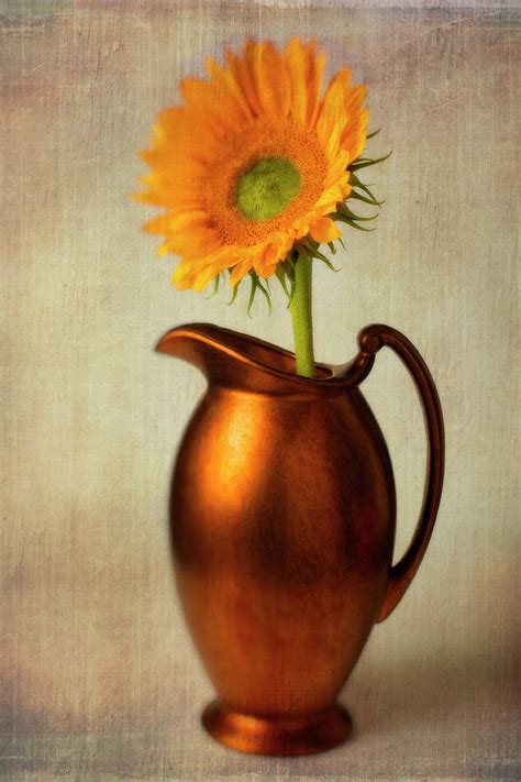 Sunflower In Bronze Pitcher Photograph By Garry Gay Pixels