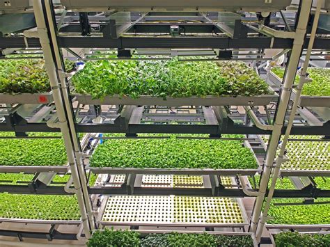 Can Indoor Farming Solve Our Agriculture Problems Cleantechnica