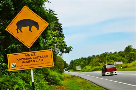 Mulutnya ternganga, tidak bisa mengeluarkan suara apapun, sementara kakinya juga tidak. #TahukahAnda: Aneka Papan Tanda Haiwan Melintas Seluruh Dunia