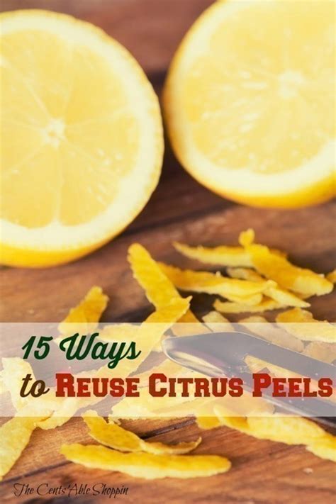15 Ways To Reuse Citrus Peels The Centsable Shoppin