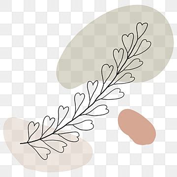 Aesthetic Nature Png Transparent Abstract Lines Nature Plant Aesthetics Flowers Leaves Art