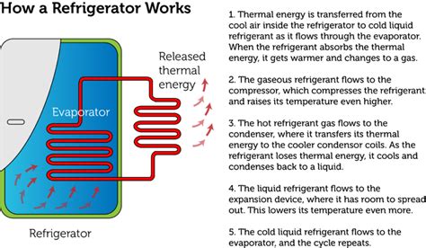 All refrigerators essentially work the same way. Using Thermal Energy | CK-12 Foundation